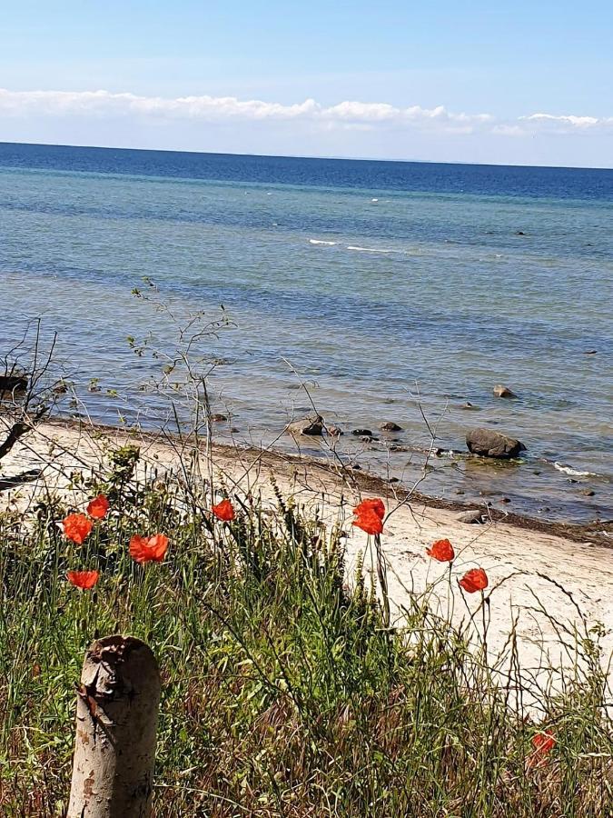 Ferienwohnung Storchenblick Zurow Eksteriør bilde